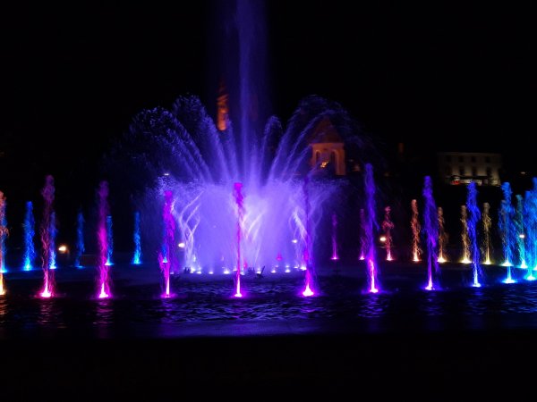 picture_313450155