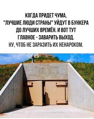 picture_275395839