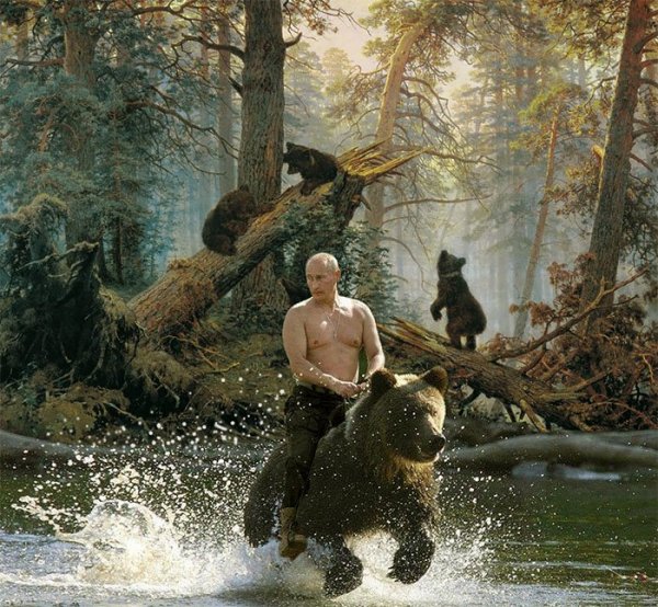 Путин на медведе