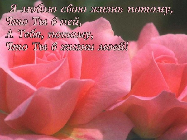 валентинка294-1024-000
