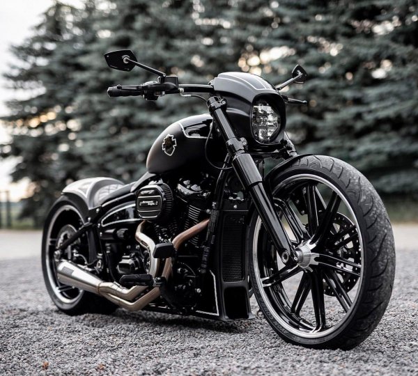 Harley Davidson