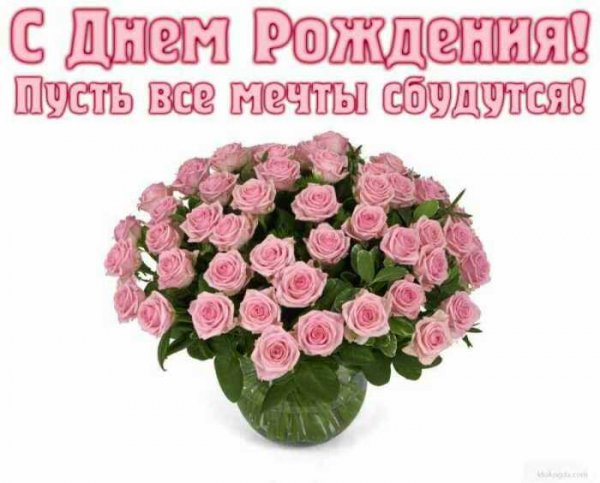 IMG-bc0ce2c4b2861ee4d04332f8082c9604-V