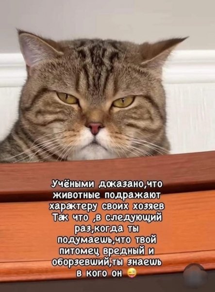 Верные слова!