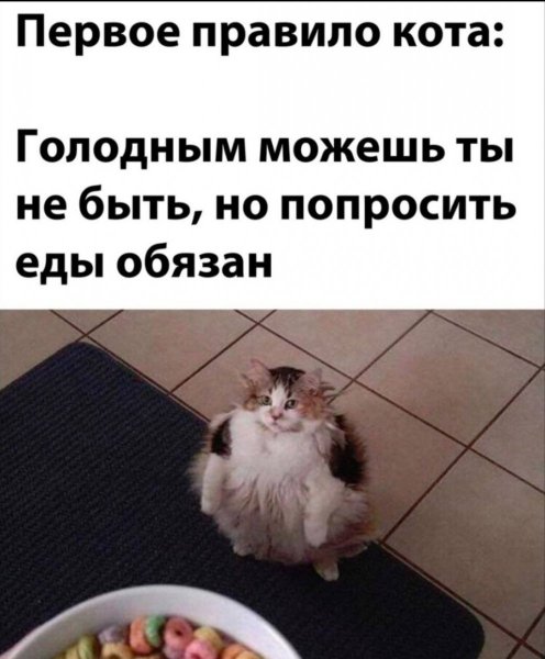 p.1200.1200.0