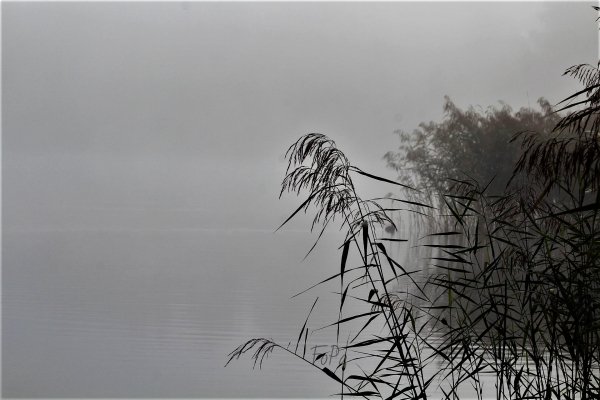 c2ccc4728 IMG 6835