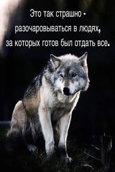 jRuikZXF6XY