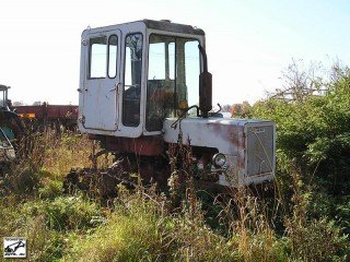 picture_105119176