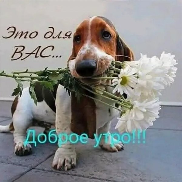 Доброе утро!!!