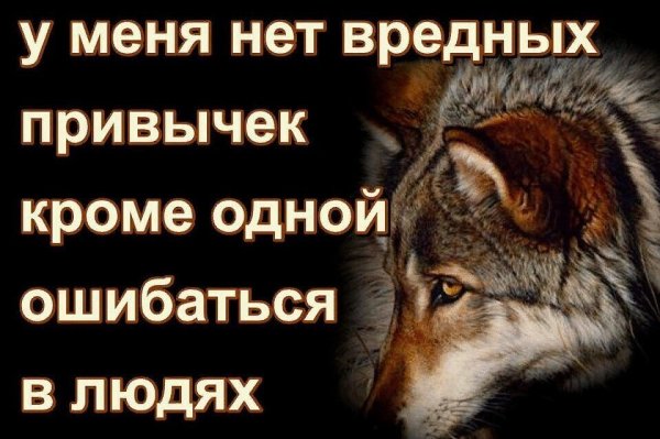 IMG 20200603 182617
