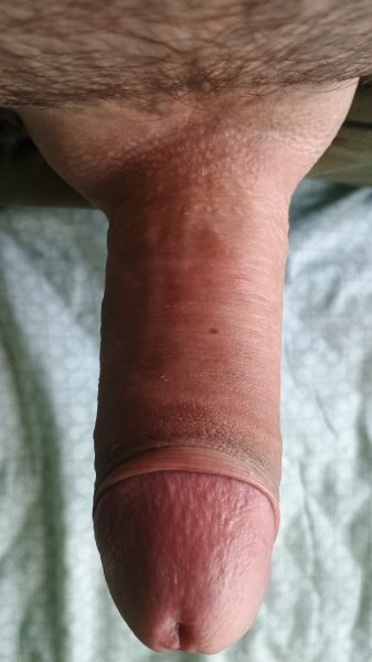 picture_381456403