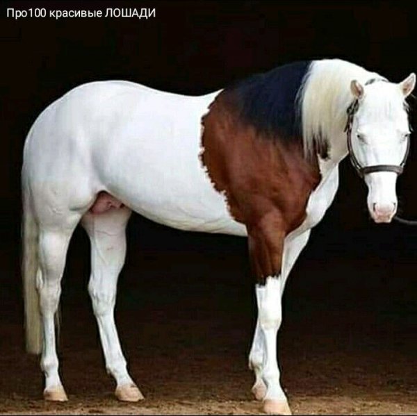 d0d70ad4f889af3377d1bb8f6a4