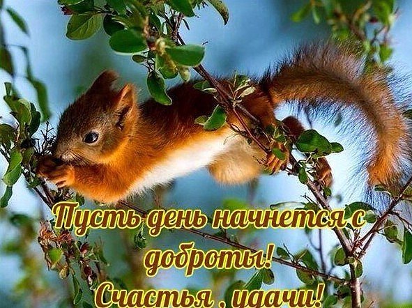 IMG 20170721 090713 74