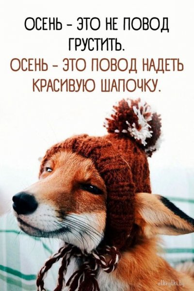 34-Y-qYBaKg
