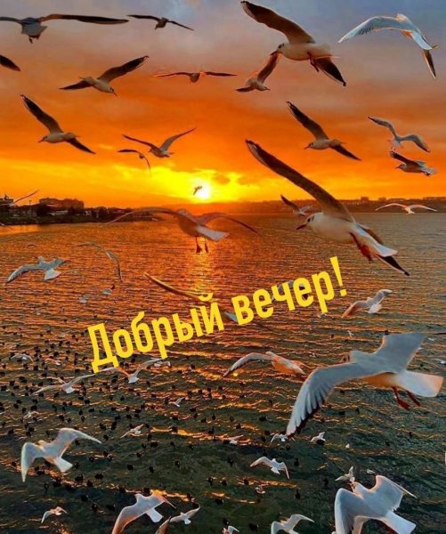 I Ni7CvVDsk