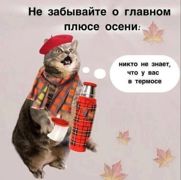 picture_398777986