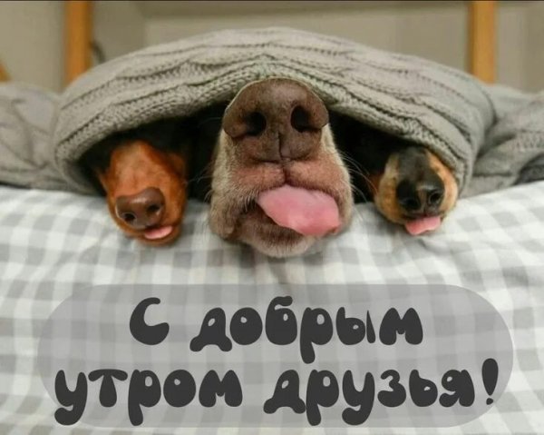Всех вас!