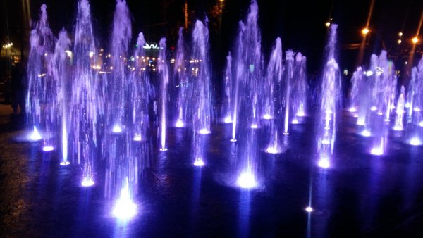 picture_303414462