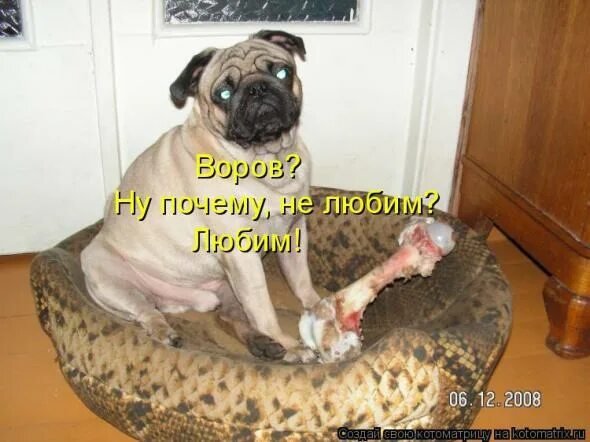 Оба - на!!!
