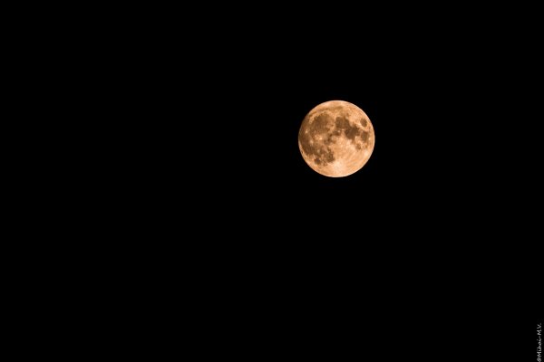 MMV24 Moon YkVnRGM