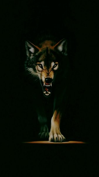 Wallpaper-6662