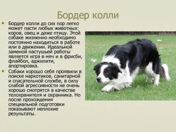 02cc857ea391ecc8c68f004753fc4499