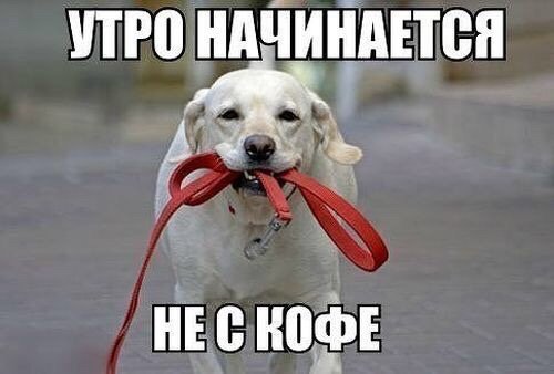 Не с кофе