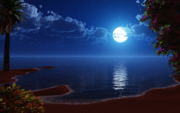 bright-moon-night