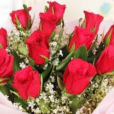 Images (12)