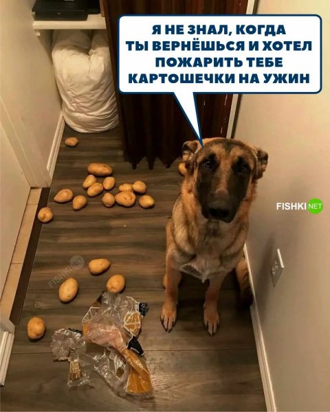 На ужин