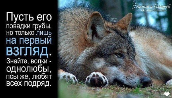 image (1)