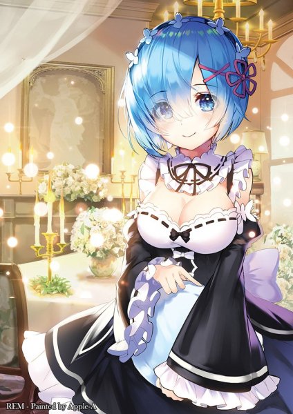 x1100-re zero+kara+hajimeru+isekai+seikatsu-rem+(re