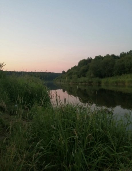 picture_395303459