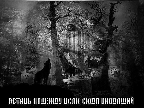 image (11)
