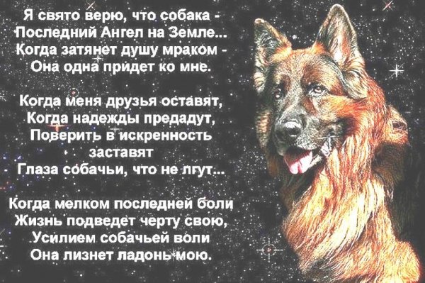 Последний Ангел на Земле...