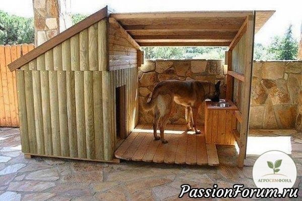 do-vesny-ostalos-dve-nedeli-uzhe-koty-prileteli-images-big (5