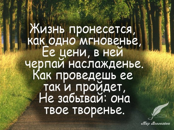Жизнь...