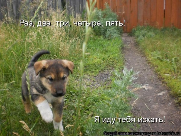 Раз, два, три...