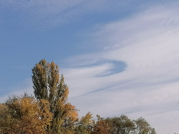 IMG 20241102 120438
