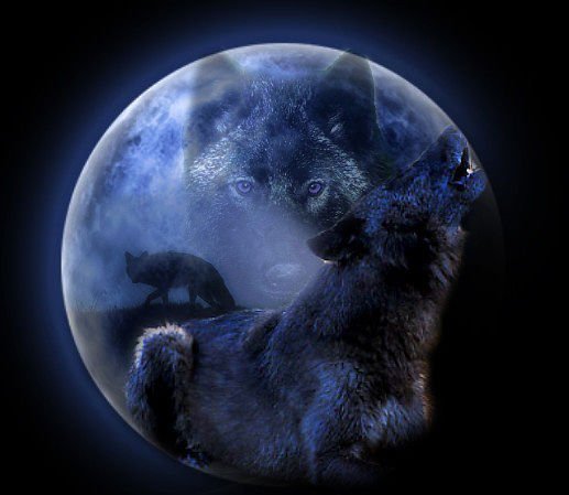 image (14)
