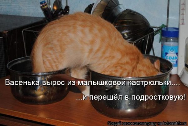 Васенька вырос...