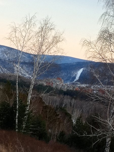 picture_380006442