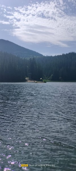 picture_393418480