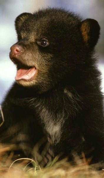 Aef6b7d596a9a10793530d387f9e8e76