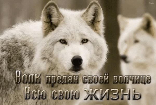 IMG 20200605 132613