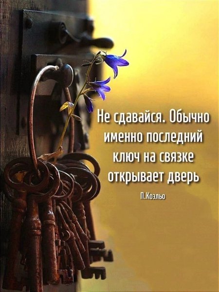 IMG-20260602-WA0046