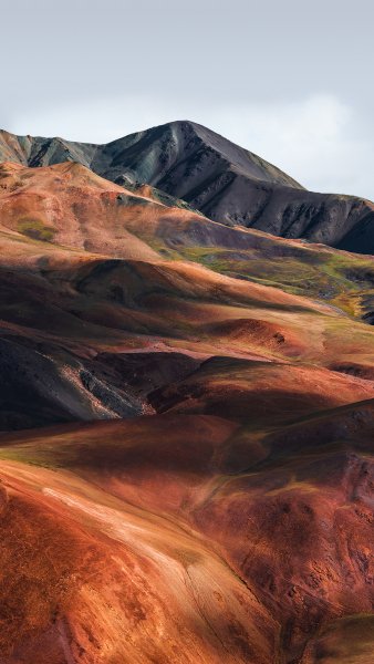 NaturalTexture006