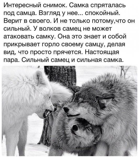 ad7f60451fd56a5b78014a287d71d95e