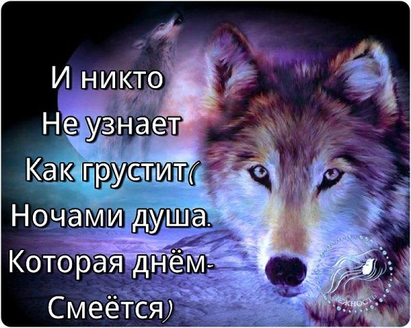 image (5)