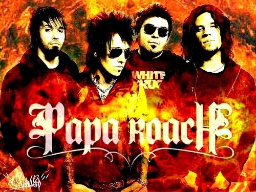 Papa roach