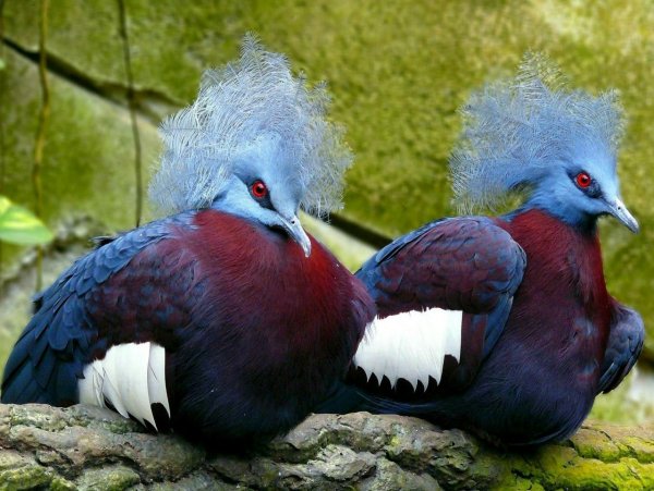 IMG 20221013 093719 407